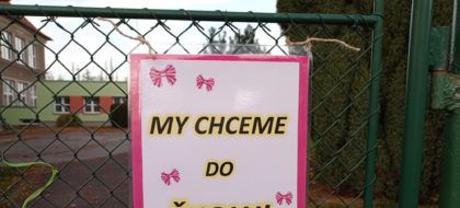 Činnost parlamentů v online světě