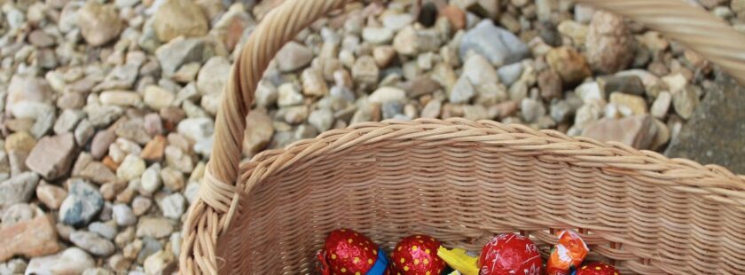 Hledá se velikonoční zajíček